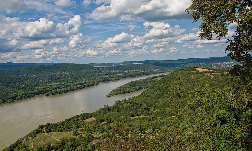 Dunav